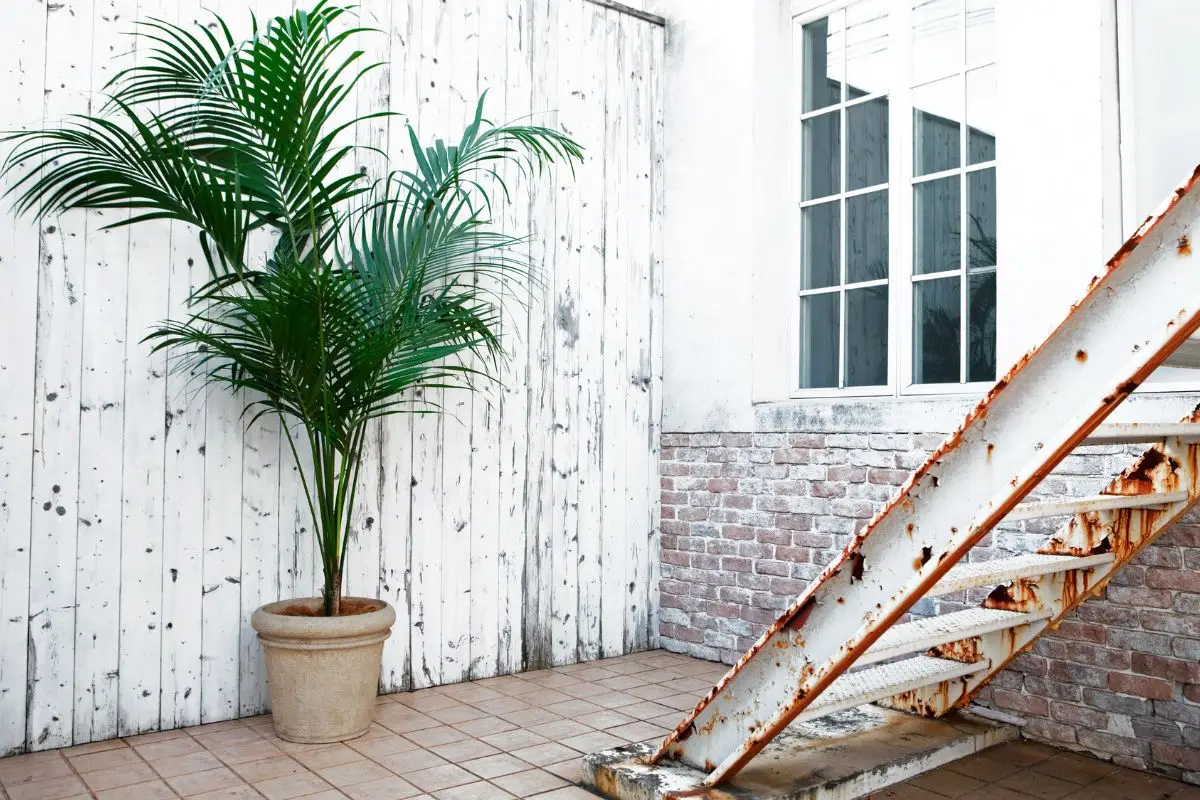 Il trucco con la colla a caldo per rendere sicure le piante finte