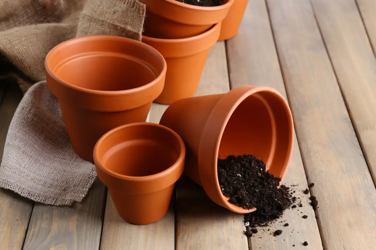 Hai un vaso vuoto e niente fiori: scopri l’idea alternativa per arredare casa in modo creativo