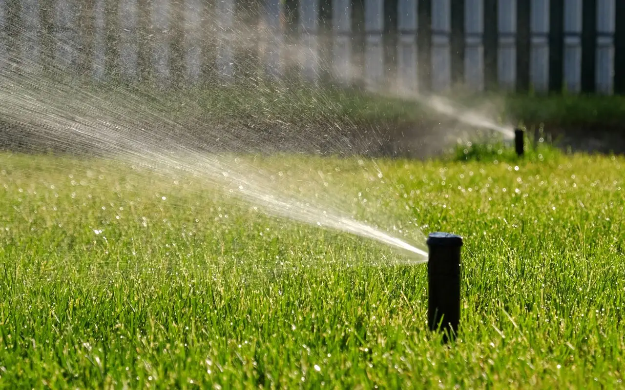 5 strategie salva-prato per l’estate: ecco come proteggerlo dal caldo intenso