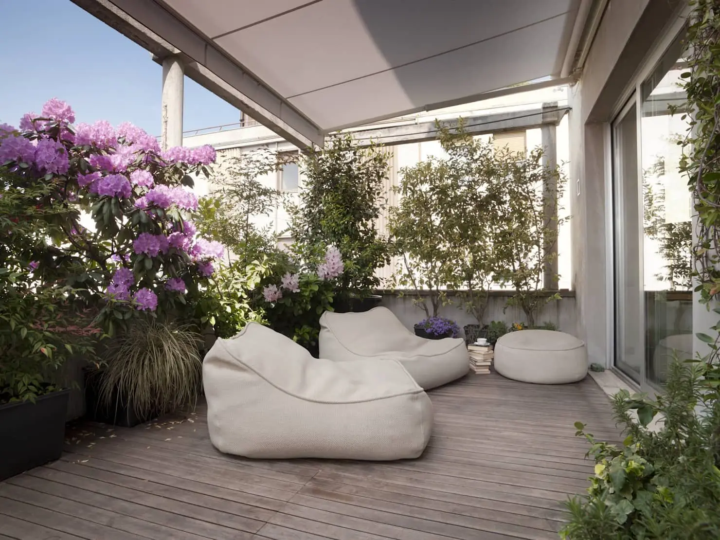 Rendi il tuo pianerottolo bellissimo e accogliente con queste piante resistenti e decorative
